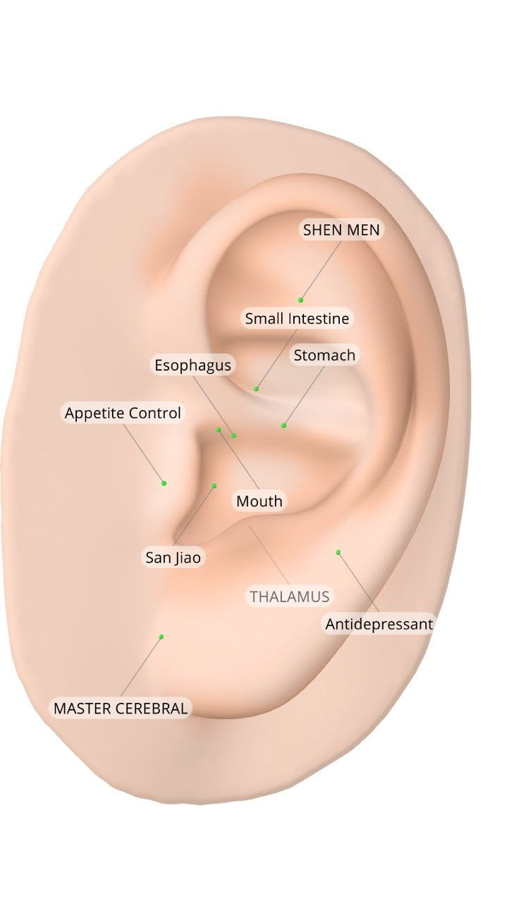 point acupuncture oreille pour maigrir